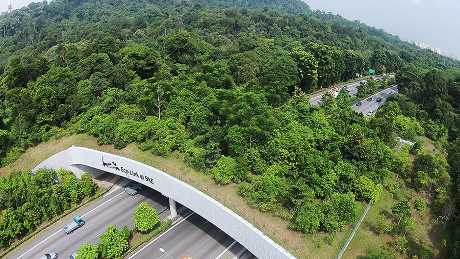 eco-link@BKE bridge
