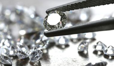 Assessing GR Silver Mining (TSXV:GRSL) Valuation After Detailed 2026 Drilling And Pilot Plant Plans