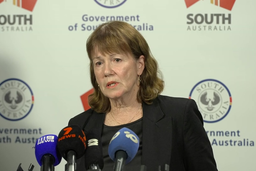 Arts figure Judy Potter at an SA government media conference.