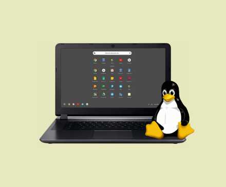 Chromebook with Linux apps and Penguin on yellow background.