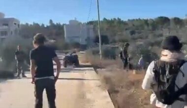 Israeli Colonizer Attacks Across the West Bank, Friday |