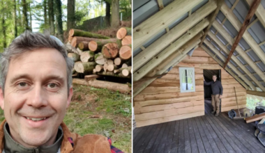 I spent £25,000 of my pension on three acres of woodland. It's nearly doubled in value