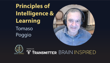 Tomaso Poggio on his quest for theories to explain the fundamental learning abilities of brains and machines