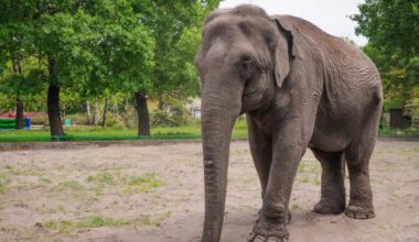 Yahoo lifestyle home