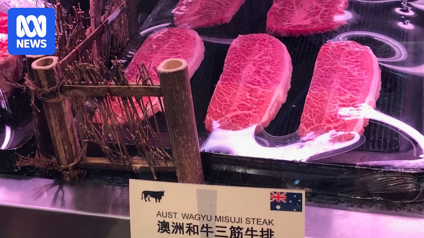 Premium beef producers expect to be the main casualty of China's new 55 per cent tariff