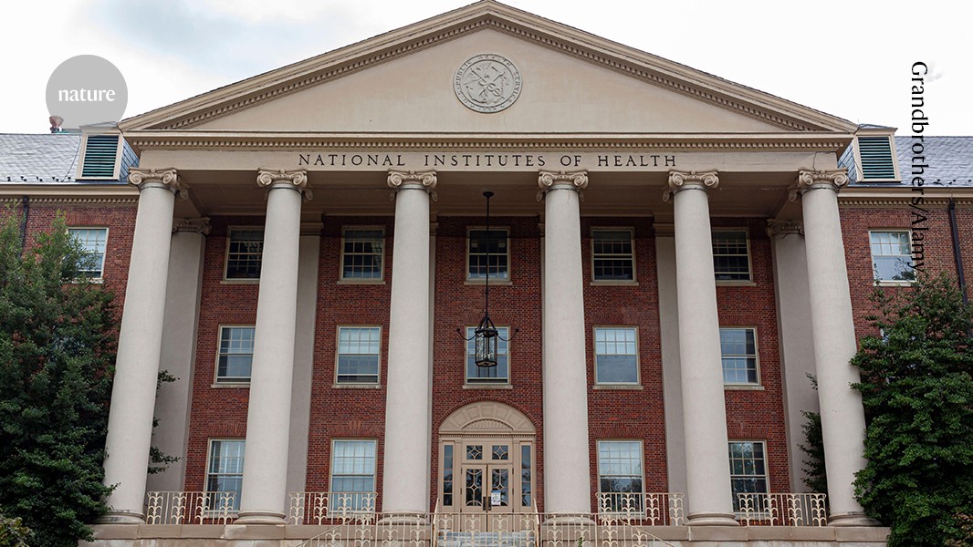 key NIH review panels due to lose all members by the end of 2026