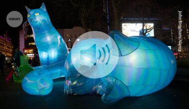 The biggest ‘Schrödinger’s cat’ yet — physicists put 7,000 atoms in superposition - Nature