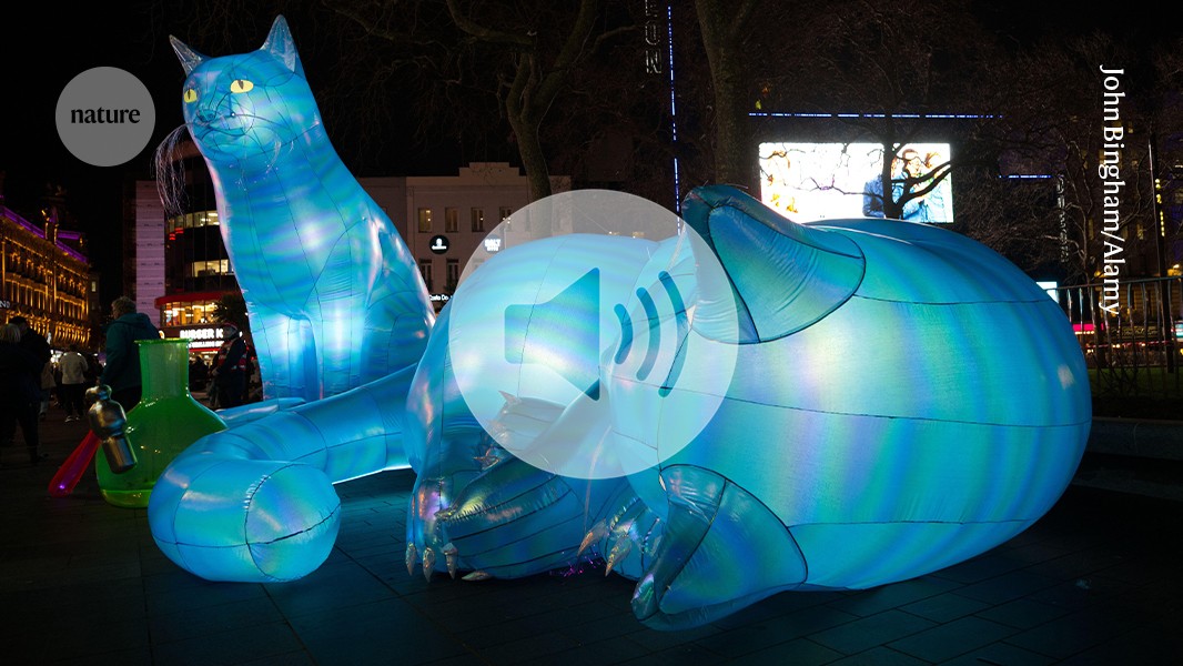 The biggest ‘Schrödinger’s cat’ yet — physicists put 7,000 atoms in superposition - Nature