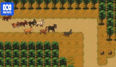 Sydney Festival show asses.masses combines participatory theatre and the social fabric of playing video games together