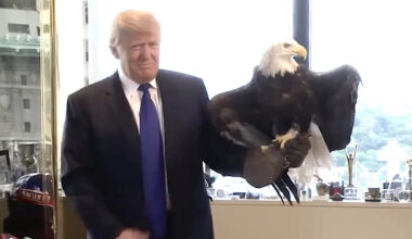 Trump, 79, Starts Bizarre Bald Eagle Crusade in Bid to Move on From Health Scrutiny
