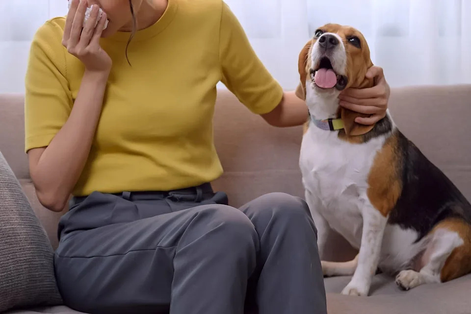 Getty Woman sneezing as she pets a dog (stock image)