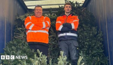 Two men in orange high-vis tops stand with their arms folded and smiling in the back of a lorry filled with real Christmas trees.