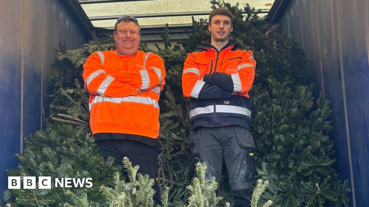 Two men in orange high-vis tops stand with their arms folded and smiling in the back of a lorry filled with real Christmas trees.