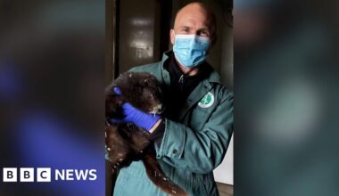 Jersey Zoo appoints Dr Nic Masters as head veterinarian