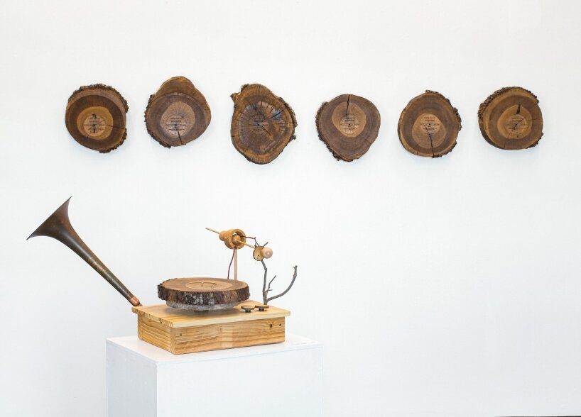 oak tree sound sculptures