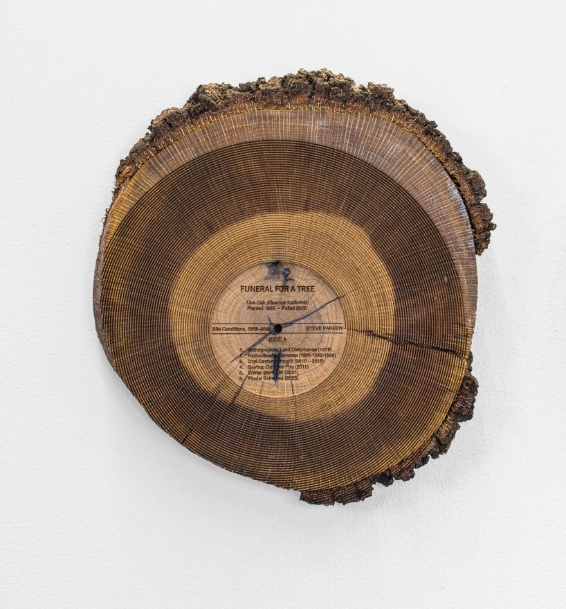 oak tree sound sculptures