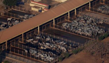 Brazil surpassing US as top beef producer, easing global supply squeeze