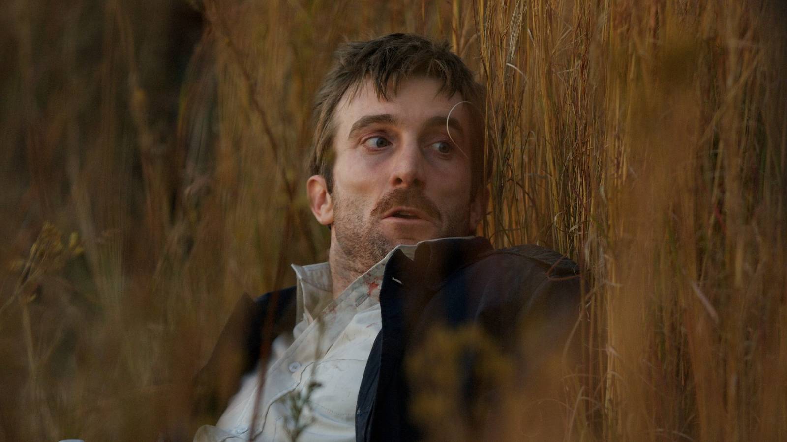 One of the Most Essential Sci-Fi Movies of All Time Makes a Surprise Streaming Comeback