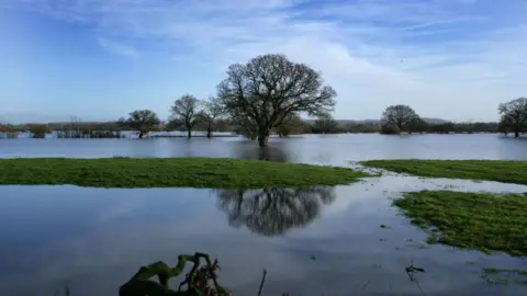 Getty Images Flooded farmland, with areas of green grass and leaf-less trees poking up between the water. The sky is bloue with light clouds.