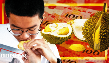 Close up of a durian fruit being held in two hands.