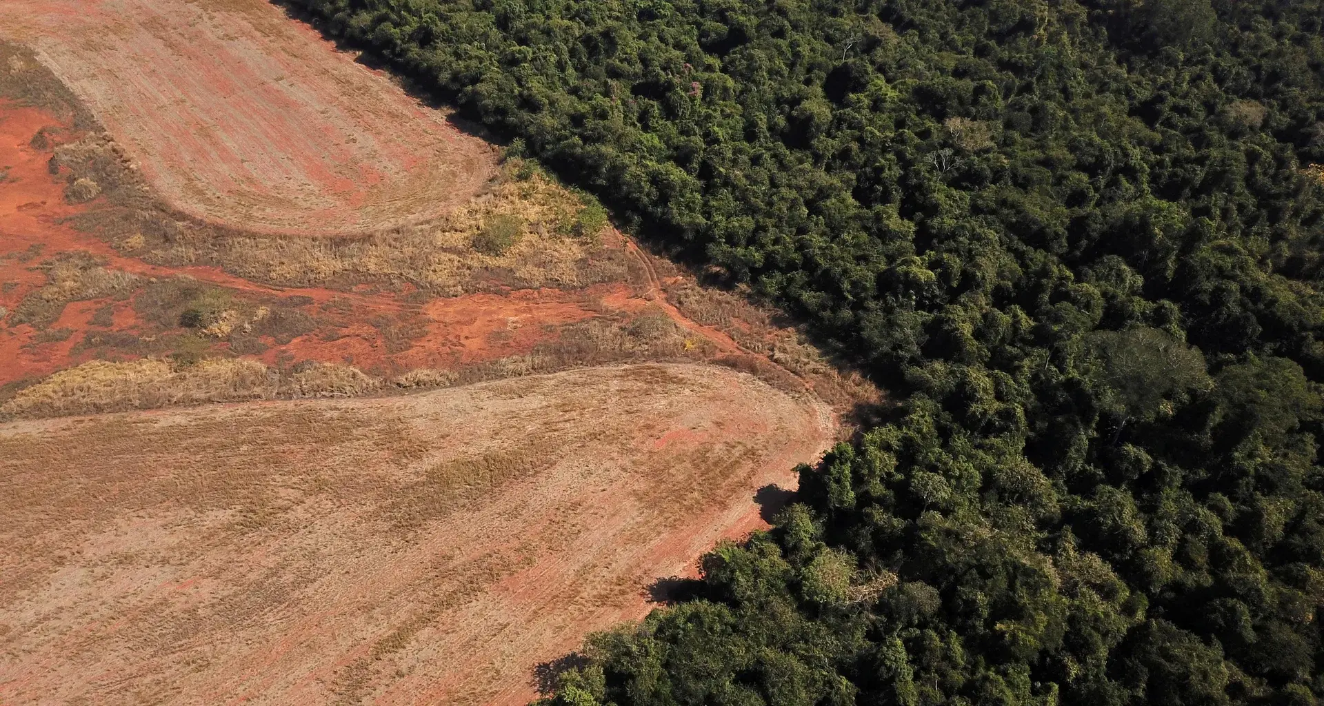 We can’t innovate our way out of the climate crisis