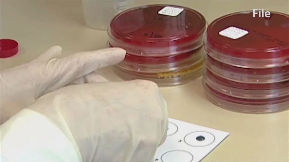 A healthcare worker testing items for bacteria in a lab. (FILE)