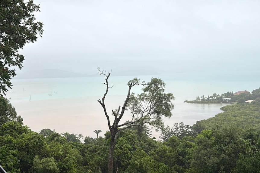 Rainfall over a tropical bay