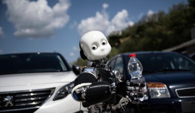 Why the best way to understand the self is to build a robot one