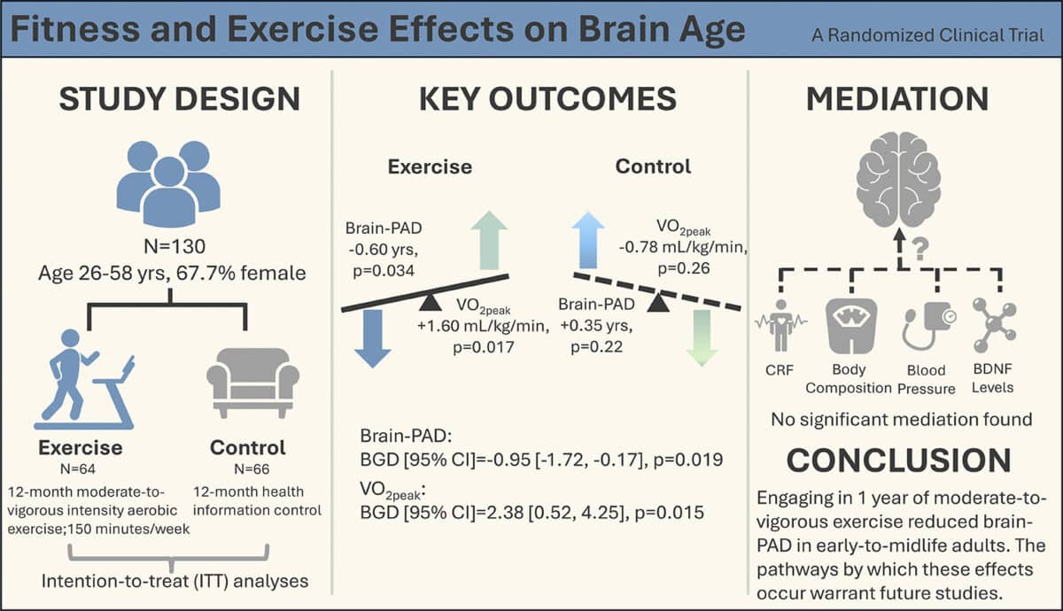 exercise brain