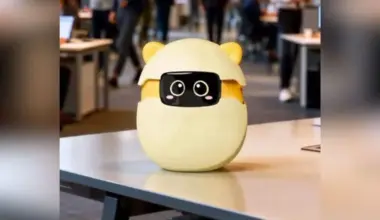 Subscribe Placeholder