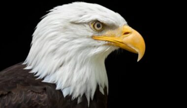 10 Species That Refused to Go Extinct