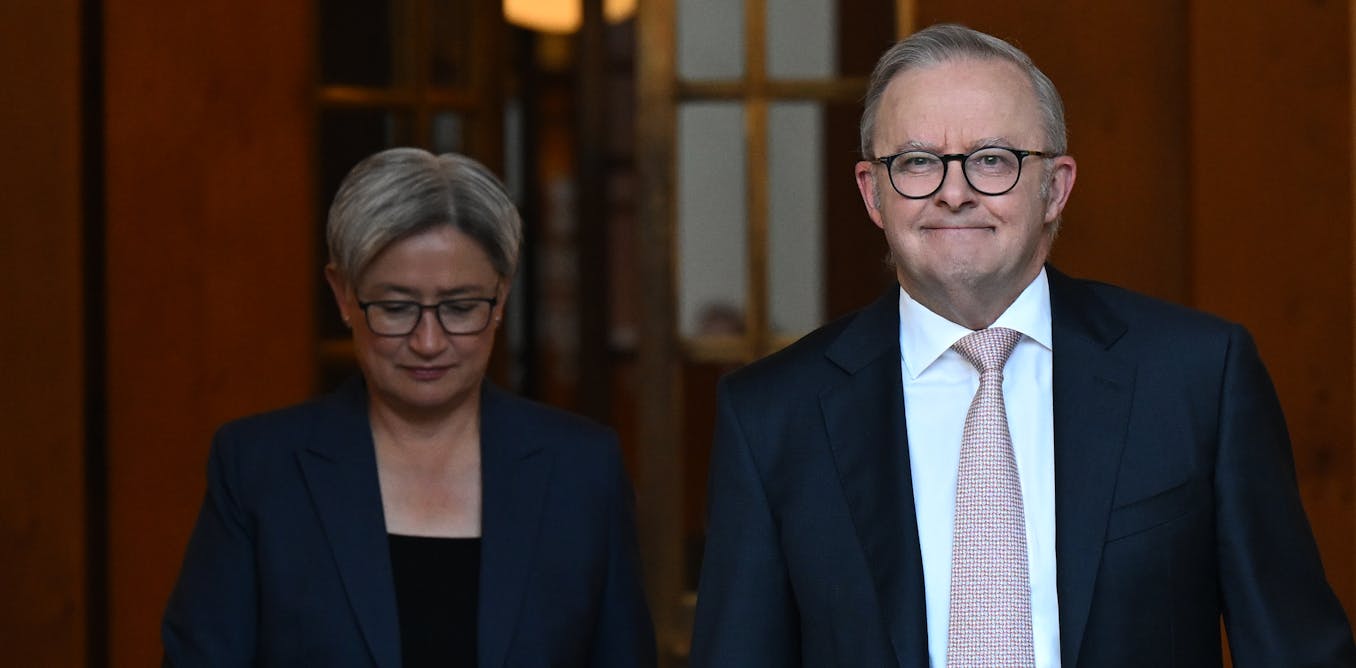 Three early January polls have Labor down, but disagree on One Nation’s vote