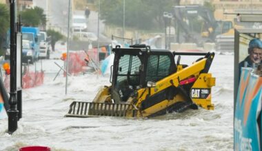 Photo Steve Zammit Lupi