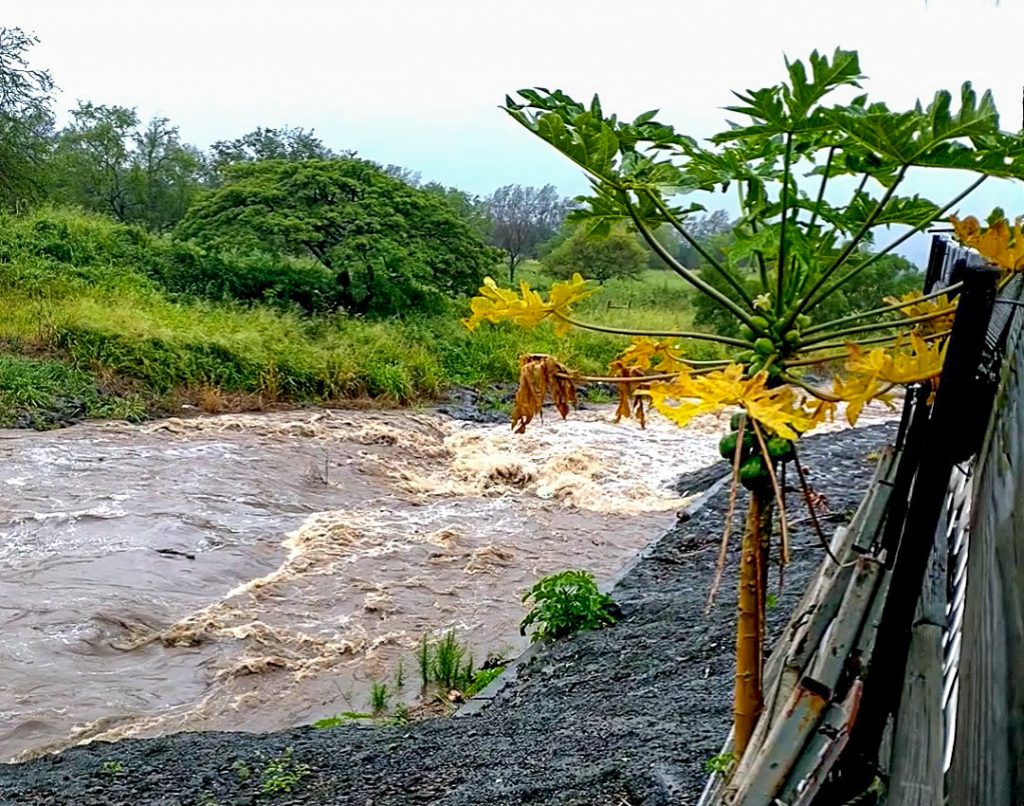 UPDATE: Flood advisory extended until 1:45 p.m. today for southeast Big Island : Big Island Now
