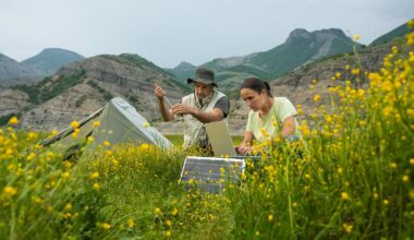 Telefónica stands as a global leader in climate management according to the CDP ranking