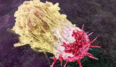 How Gertrude B. Elion revolutionized childhood cancer treatment