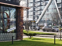 Daylight, telephoto cameras: Honor Magic8 Pro (3.7x) - 85mm, f/2.6, ISO 80, 1/100s (4080x3072px) - Honor Magic8 Pro vs. Oppo Find X9 Pro vs. vivo X300 Pro