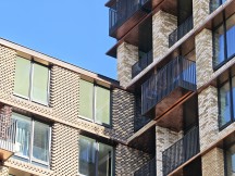 Daylight, telephoto cameras: Honor Magic8 Pro (7.4x) - 170mm, f/2.6, ISO 50, 1/170s (4080x3072px) - Honor Magic8 Pro vs. Oppo Find X9 Pro vs. vivo X300 Pro