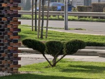 Daylight, telephoto cameras, 10x: Oppo Find X9 Pro - 234mm, f/2.1, ISO 50, 1/359s (4096x3072px) - Honor Magic8 Pro vs. Oppo Find X9 Pro vs. vivo X300 Pro