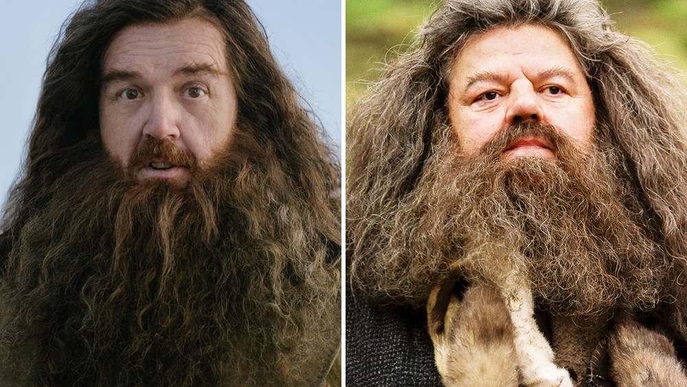 Nick Frost Manifested 'Harry Potter' Role, Wrote 'Hagrid' 7,000 Times