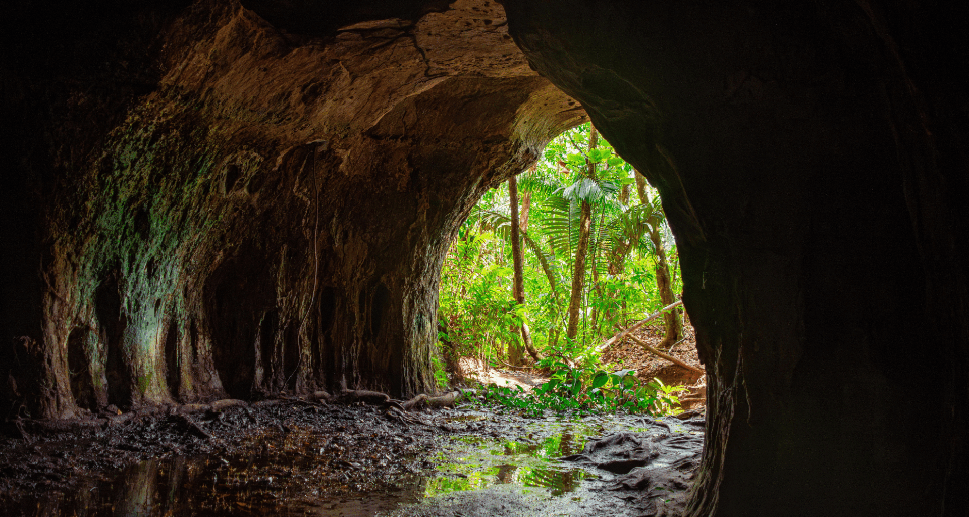 He Left A Camera In A Cave For 10 Years, What It Recorded Left Everyone Stunned