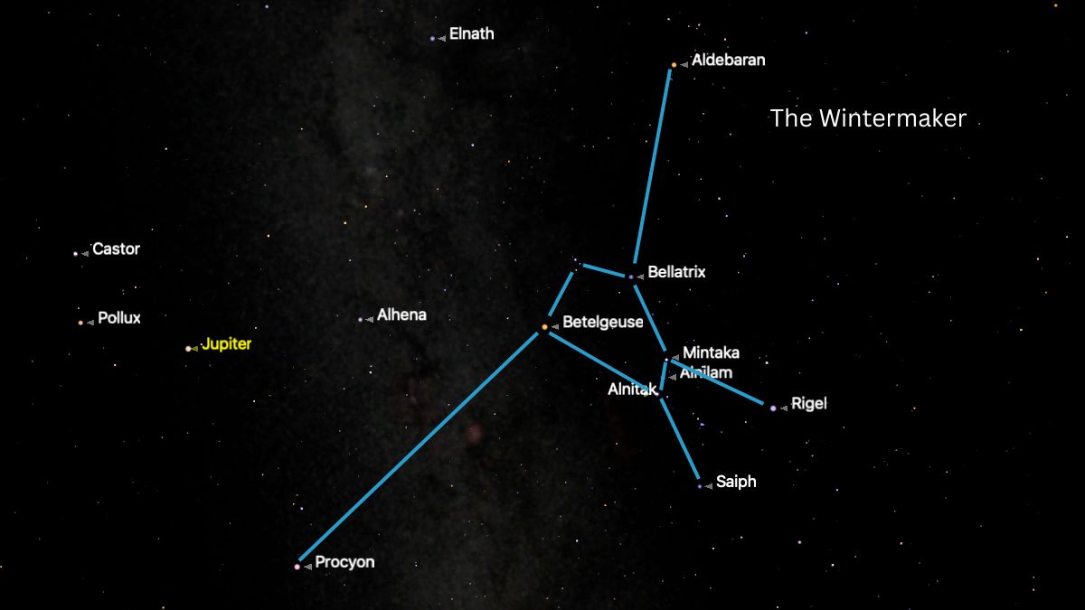 A simulation of the night sky for Jan. 13 showing the stars of the constellation Orion joined by a blue line in the winter night sky alongside other prominent stars.