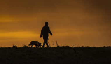 I’ll take a country walk over the gym any day