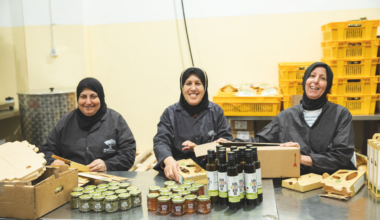 Too Israeli for the world, too Arab for Israelis, women's olive oil collective presses on 