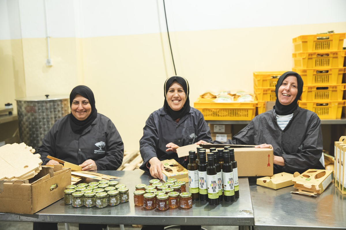 Too Israeli for the world, too Arab for Israelis, women's olive oil collective presses on 