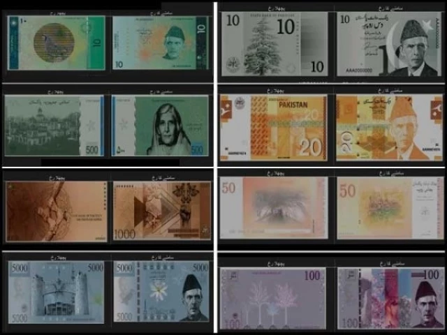 photo express web desk