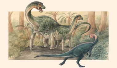 Paleontologists Unearth New Species of Titanosaur in Argentina