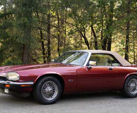 1992 Jaguar XJS Convertible V12 In maroon Posing in woods
