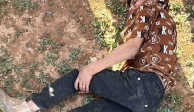 Israeli Colonizers Injure Children, Attack Shepherds Near Hebron |