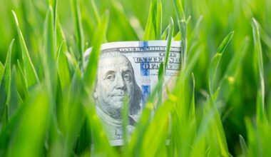 TSP Millionaire Count Nears 200,000